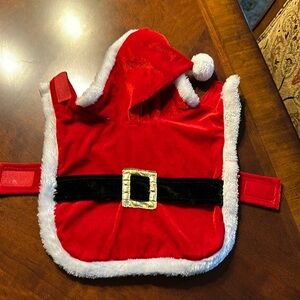 Santa outfit for a small dog